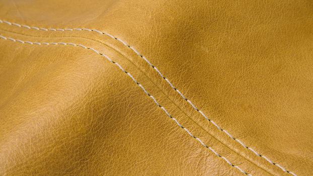 52 - curcuma, thread #861