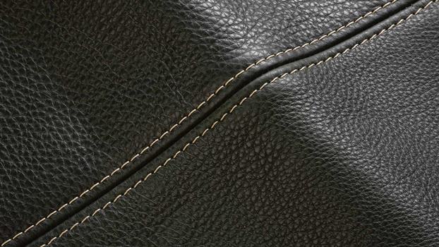 39 - forest, thread #265