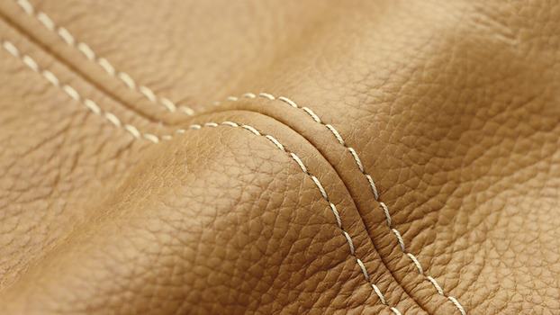 52 - kurkuma, thread #265