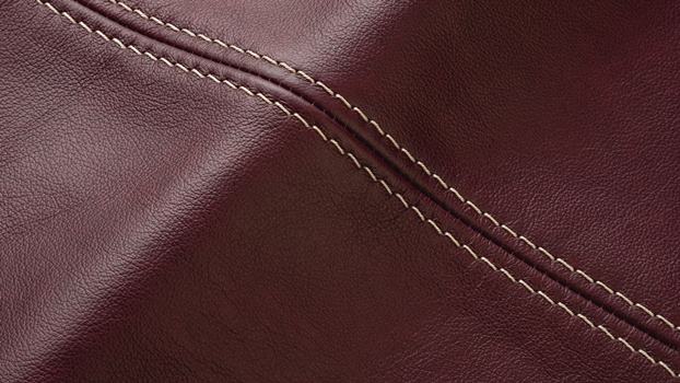 13 - burgundy, thread #861