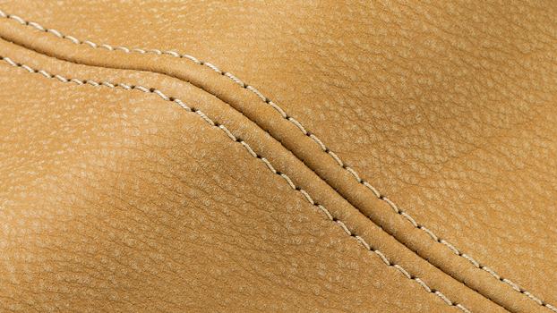 52 - kurkuma, thread #265